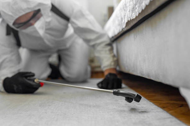 Professional Bed Bug Control technician working in Howards Grove, WI